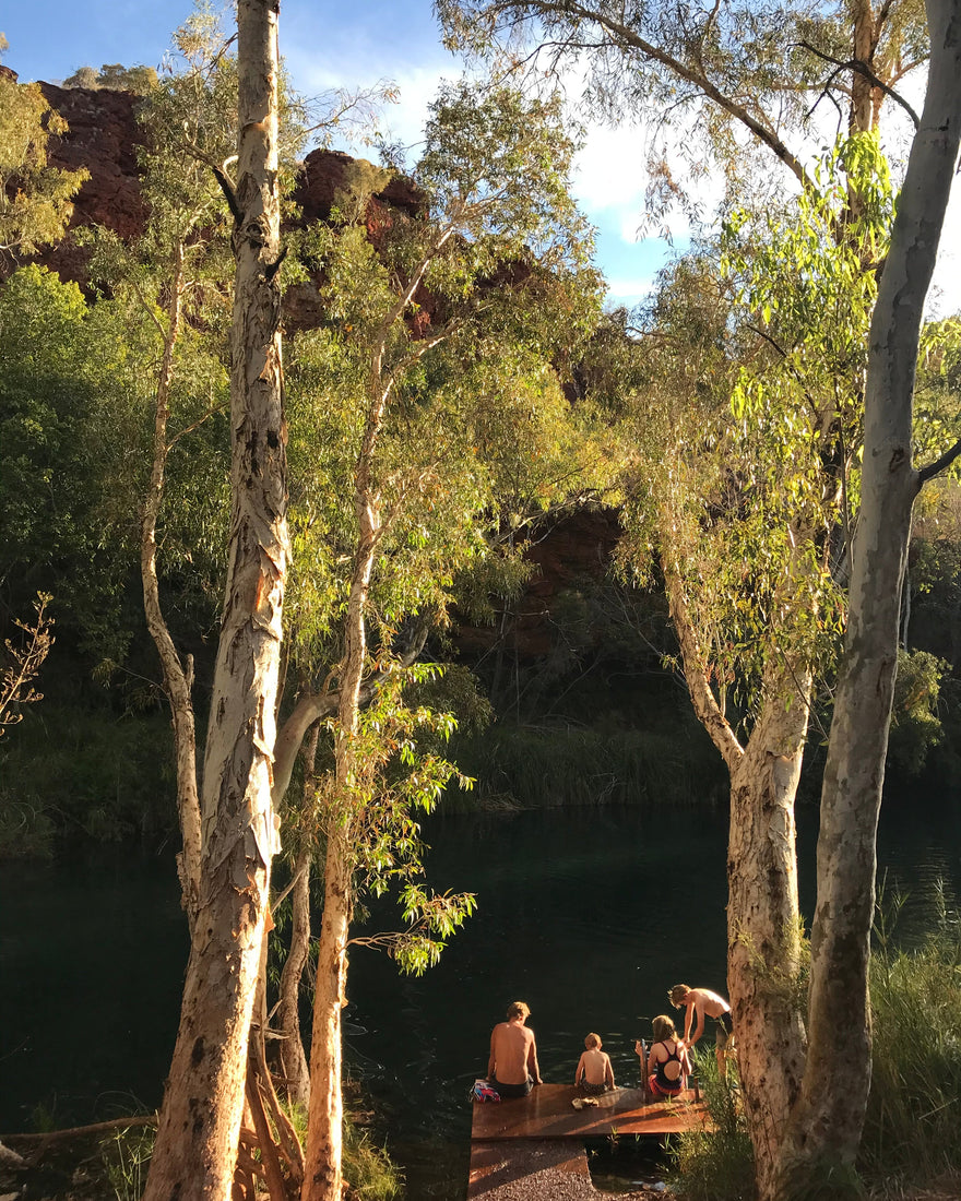 Heart Wide Open: Cultivating Awe for a More Joyful Life